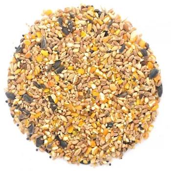 Ełpol Kokoszka Nioska mieszanka dla kur 20 kg